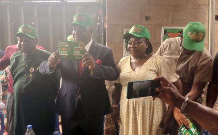 Tinubu, existential threat to Nigeria, not good for second term - Ogbonnia