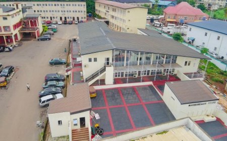 Court voids 'Ukwuna', confirms Ngwo not community in Enugu North LGA