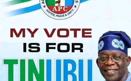 E-Registration:  Anambra APC Targets 336,000 New Members