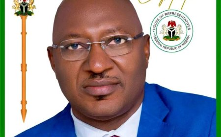 Prof Nnamchi, a symbol of hope for purposeful governance