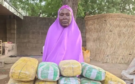 JTF arrests 65-yr-old woman supplying drugs to Boko Haram