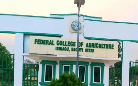 Protest rocks FCA Ishiagu over alleged suspension of Registrar, Procurement Officer