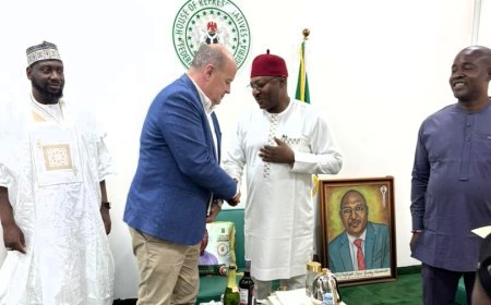 Rep Nnamchi Hosts Irish Ambassador for Strategic Talks