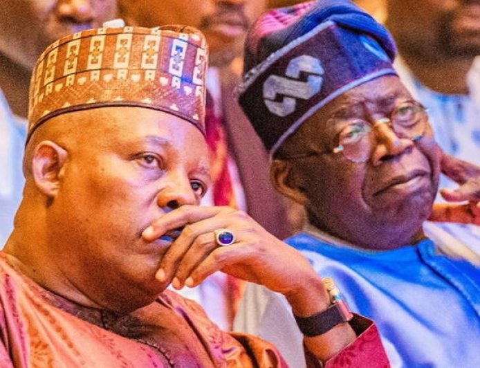 How the North Can reject Tinubu and still re-elect him Unintentionally?