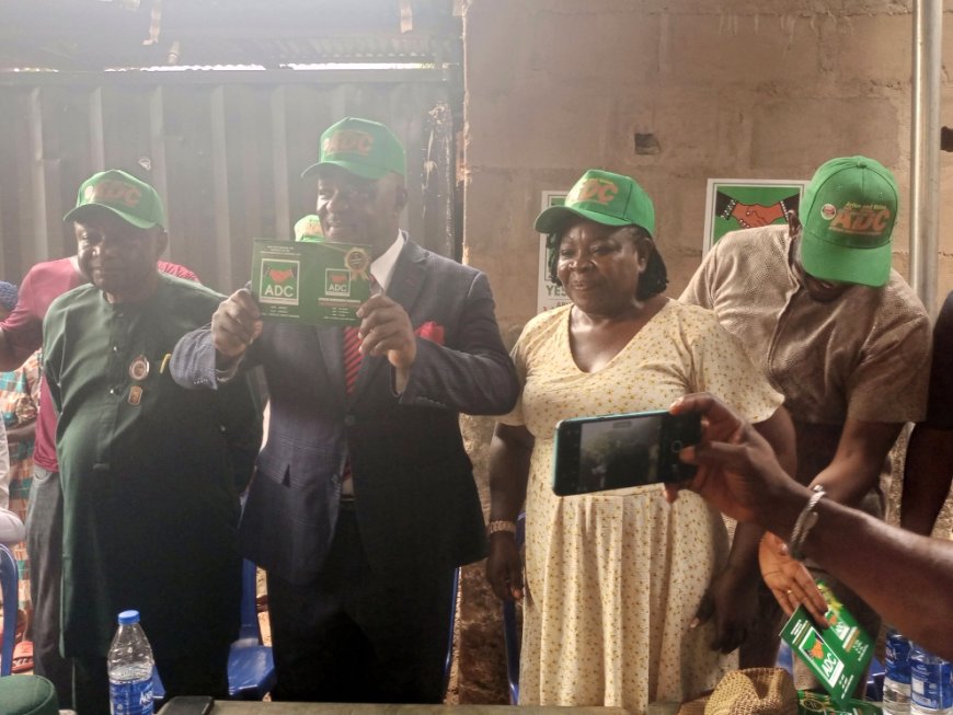 Tinubu, existential threat to Nigeria, not good for second term - Ogbonnia