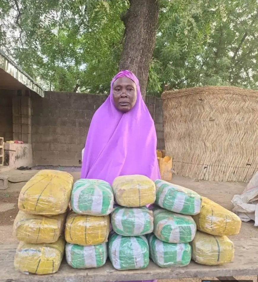 JTF arrests 65-yr-old woman supplying drugs to Boko Haram
