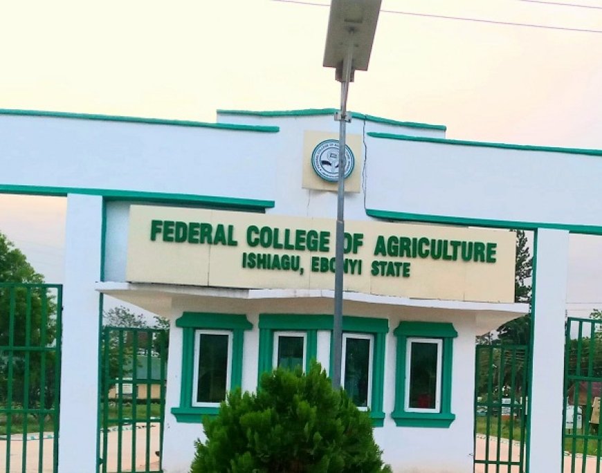 Protest rocks FCA Ishiagu over alleged suspension of Registrar, Procurement Officer