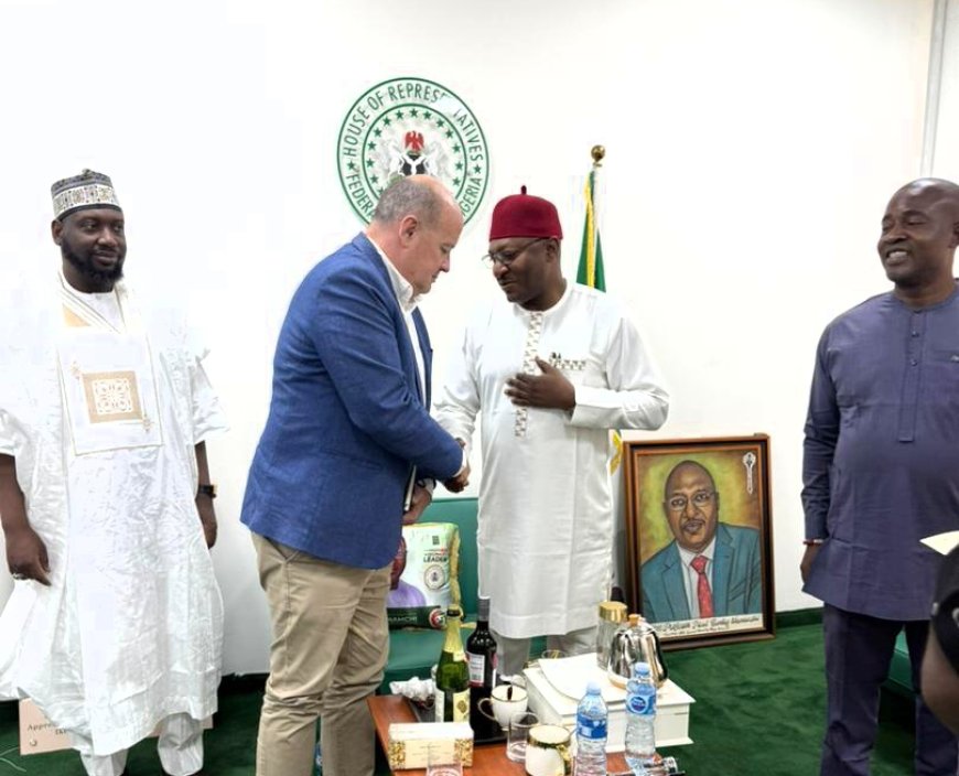 Rep Nnamchi Hosts Irish Ambassador for Strategic Talks
