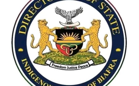 Confusion in IPOB as Spokesman, Emma Powerful, allegedly resigns