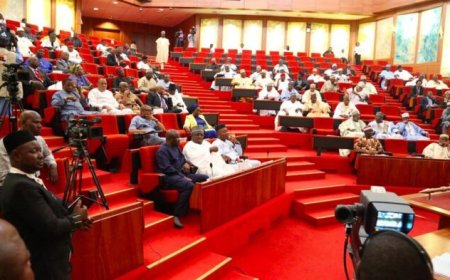 Hopes dashed as Senate rejects electronic transmission of election results