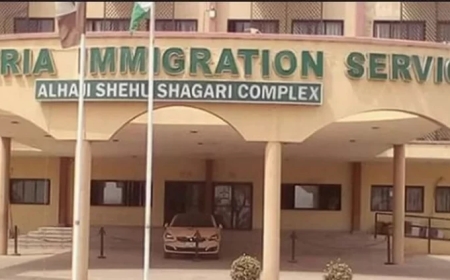 PASSPORT: We didn't exempt South East from issuance - Immigration