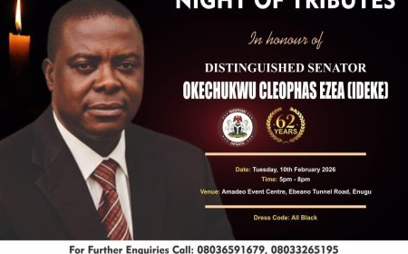 What late Senator Okey Ezea meant to National Assembly - Akpabio