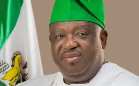 Just in: Terrorists once again kill in Plateau, rustle cows