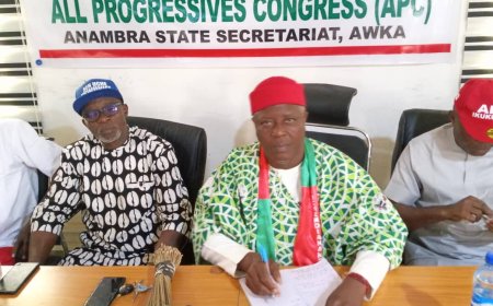 APC: Anambra Council Chairmen endorse Ejike for 2nd term