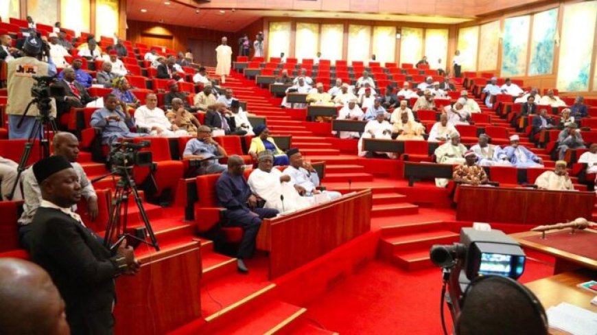 Hopes dashed as Senate rejects electronic transmission of election results