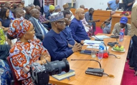 Alleged ₦210trn Discrepancies: Senate not satisfied by Ojulari's defence