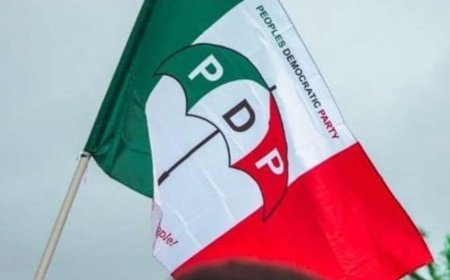 Who's Killing the PDP?