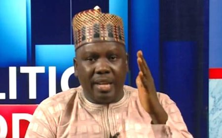 Peter Obi distances self from Daniel Bwala's 'Transactional Politics'