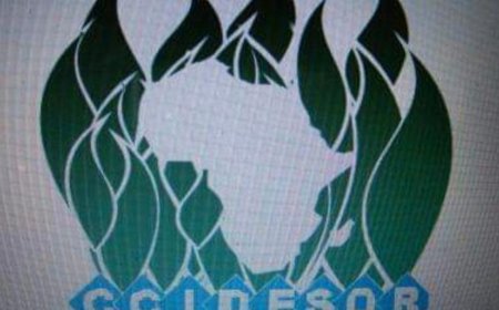 Dismantle JAAC to grow LG economy, democracy - CCIDESOR