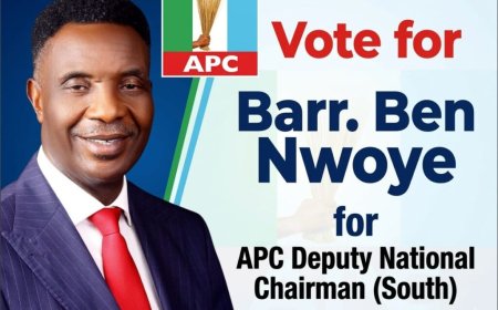 Ben Nwoye: Read Resume of Next Deputy National Chairman (South) of APC