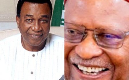 Nwobodo to chair Anyaoku's 'Ideas arena' lecture in Owerri April 9