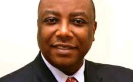 Coalition Pressures Ex-Minister, Emeka, for Anambra North Senate