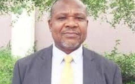 CCIDESOR calls for collective efforts to rescue comatose LG system