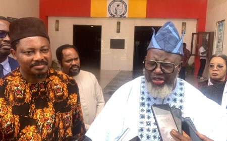 Umahi didn't hijack our job, says DUFUHS Governing council