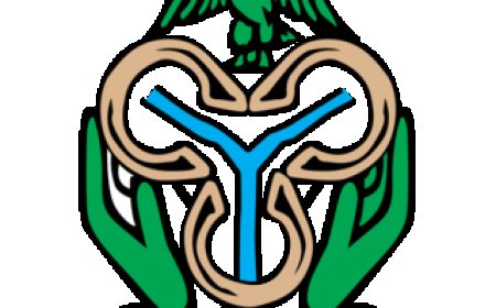 CBN Reforms Bear Fruit as Inflation Drops to 15.06%; 32 Banks Meet Recapitalization Targets