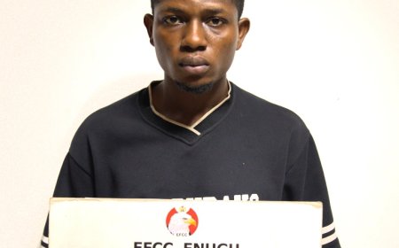 Court Jails 24 Yrs old Man for Naira Abuse in Enugu