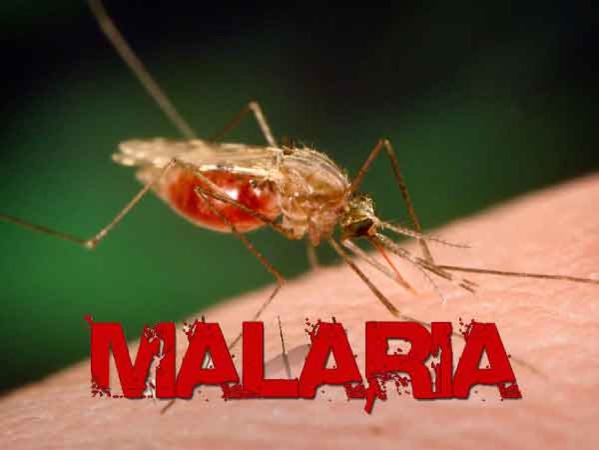 All fever not symptom of malaria - Experts