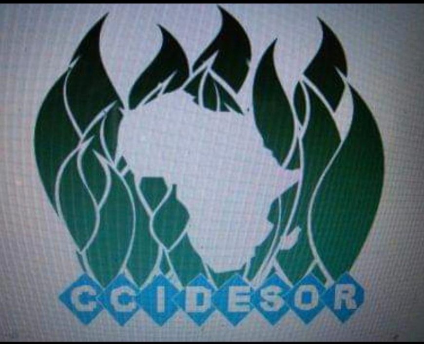 CCIDESOR urges Nigerians to reflect on challenges faced by women