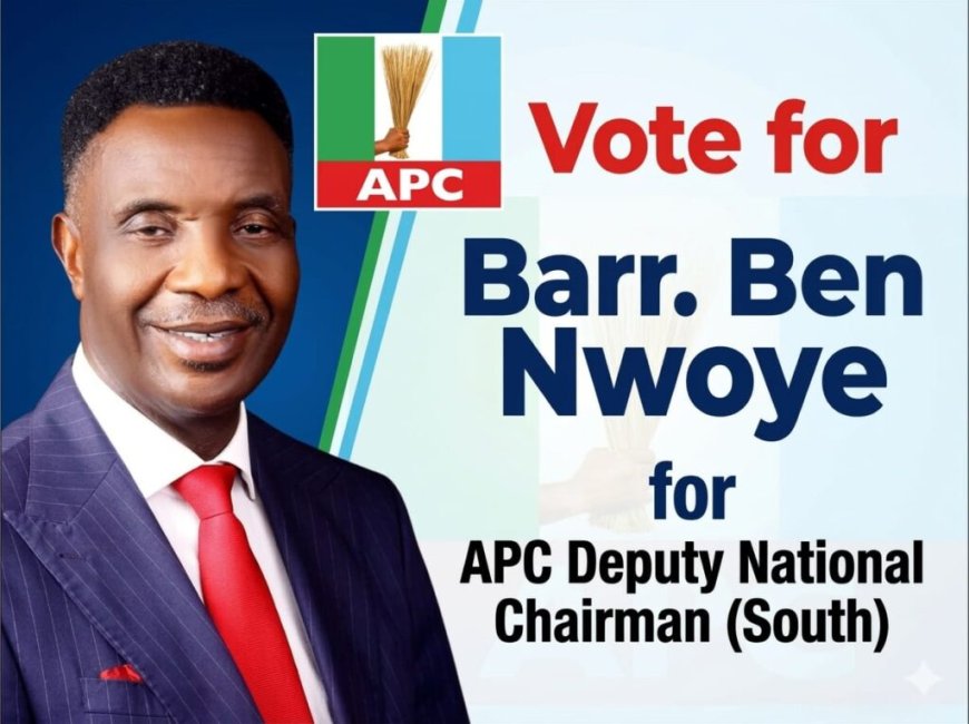 APC Convention: Nwoye Emerges Consensus Candidate For Deputy National chairman South