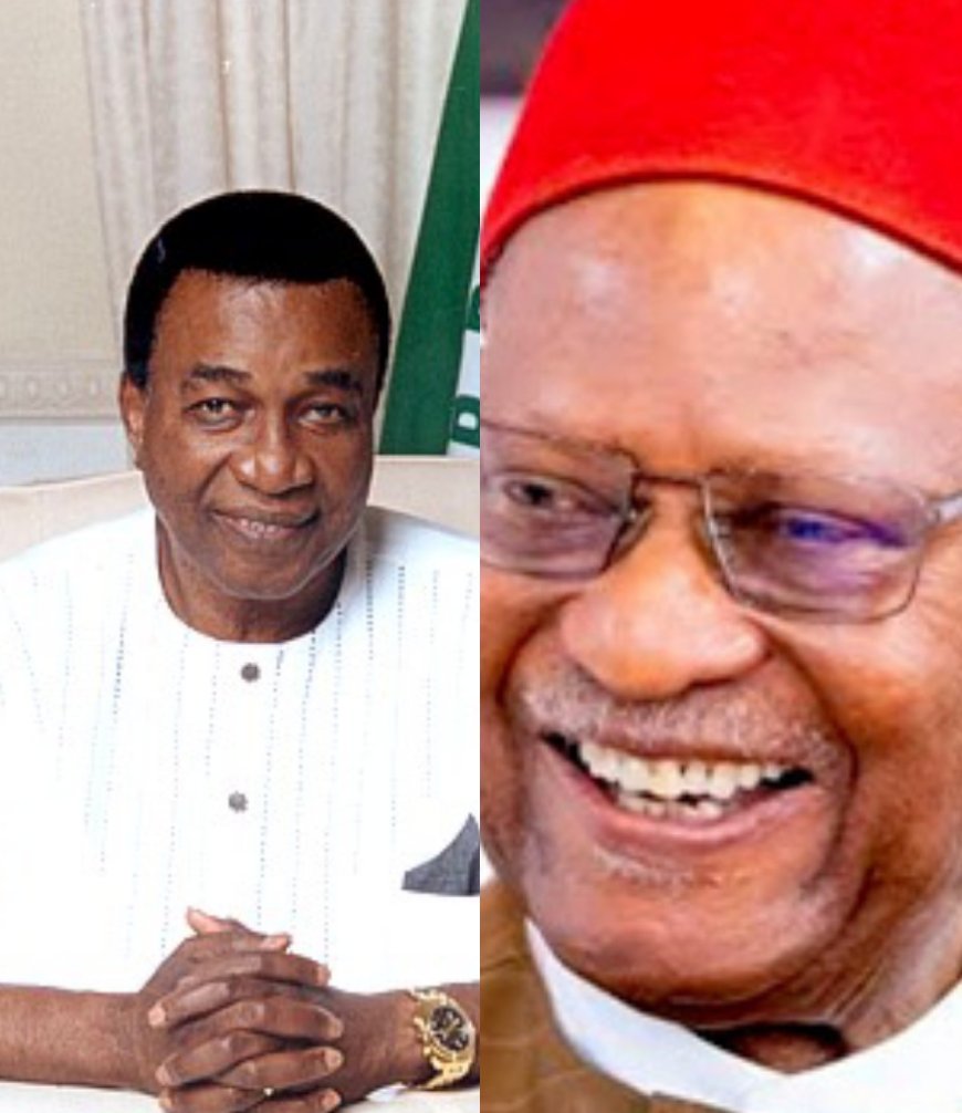 Nwobodo to chair Anyaoku's 'Ideas arena' lecture in Owerri April 9