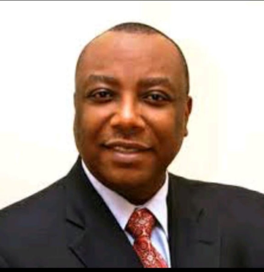 Coalition Pressures Ex-Minister, Emeka, for Anambra North Senate