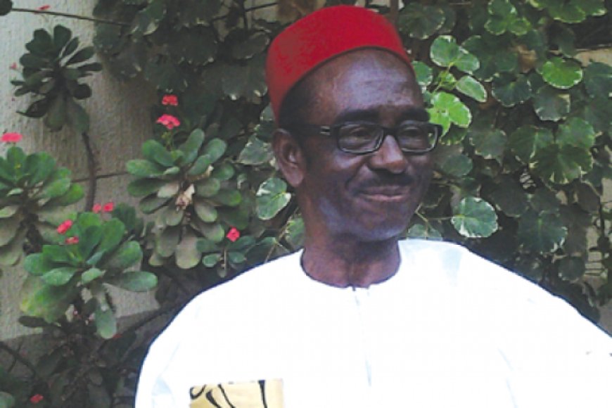 Terrorism: Fulani wants oil control to finance Jihad - Amucheazi