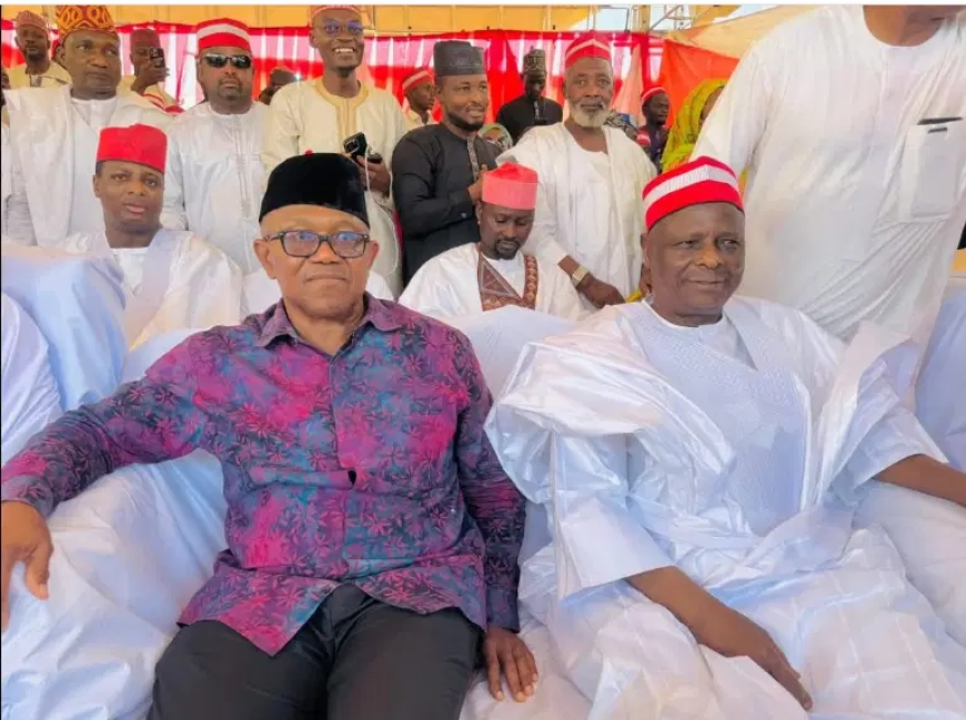VIDEO: Massive crowd as Obi, Makinde, Dickson pay Sallah visit to Kwankwaso in Kano