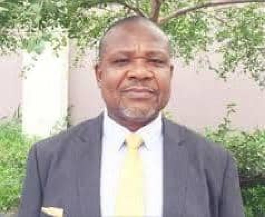 CCIDESOR calls for collective efforts to rescue comatose LG system