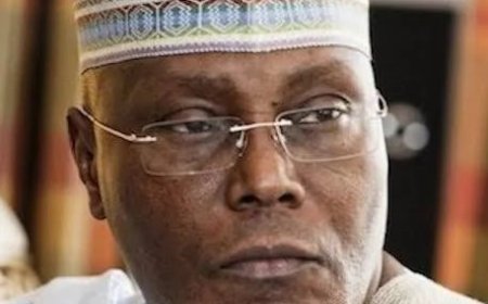 Atiku Lobbying Misplaced: Zoning Convention Remains Albatross - Okechukwu