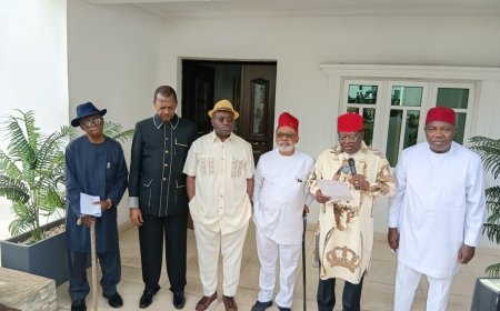 S'East ex-Govs lunch re-election support for Tinubu