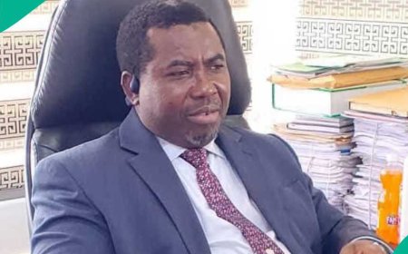 EXPOSED! Report slams INEC Chairman, Amupitan, admirer of Tinubu