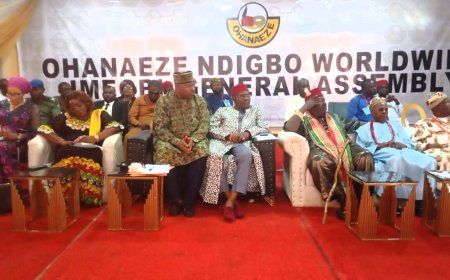 Ohanaeze proscribes 'Eze Ndigbo' diaspora titles, says Kanu's jail, imprisonment of Ndigbo