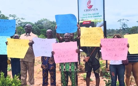 NOA Pensioners, Staff Seek Mbah's Intervention Over Alleged Reselling of Land
