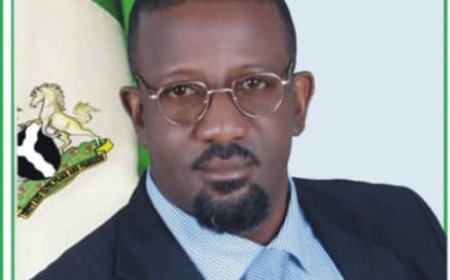 US Travel Advisory Politically Motivated, Not Purely Security-Based – Onoh