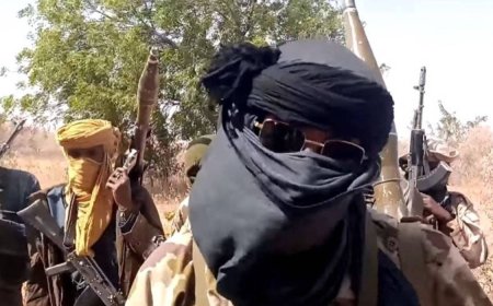 Bandits Demand 700 Cattle, 1,000 Sheep From Katsina Communities, Issue 6-Day Ultimatum