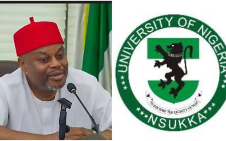 FORGERY: Why Uche Nnaji pleaded for out-of-Court settlement