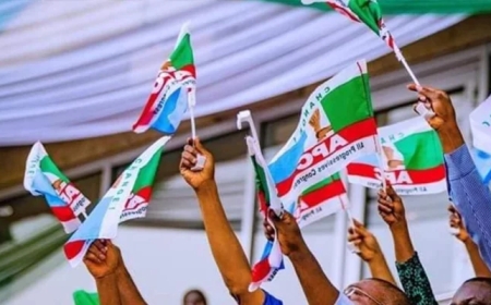 2027 Primaries election dates, fees for APC