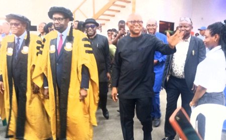 Emphasize Education than physical infrastructure - Peter Obi advises Govt