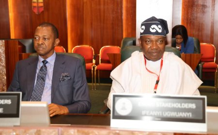 Gov Mbah, Stakeholders Assure Tinubu of Enugu re-election votes