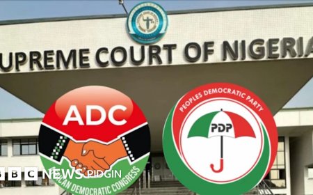NEWS ANALYSIS: Confusion trails Supreme Court Decisions on ADC, PDP
